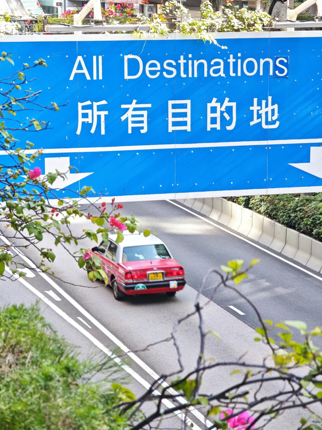 🛬旅游 | 香港暴走第一天