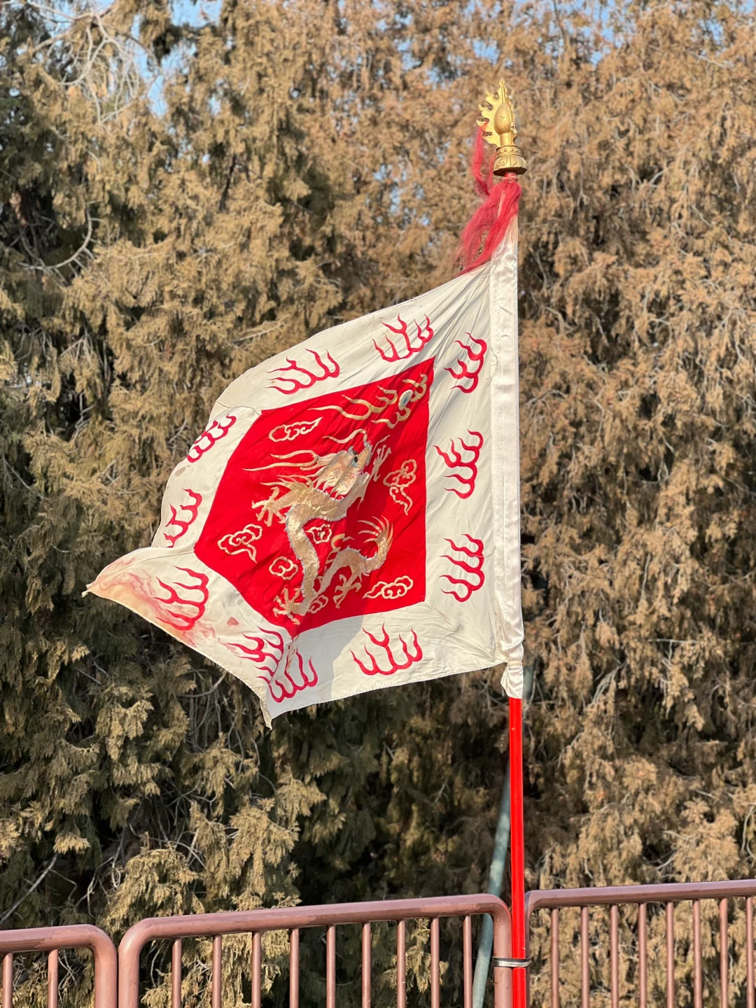 大年初二,天坛拍到了人生照片!