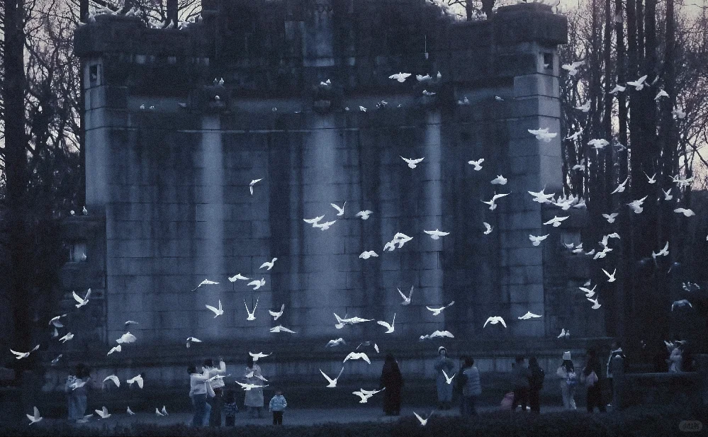 我想和你在南京牵手