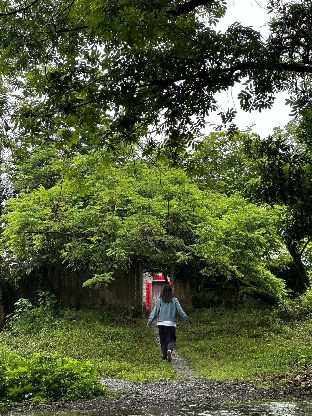 之我最爱的西溪南