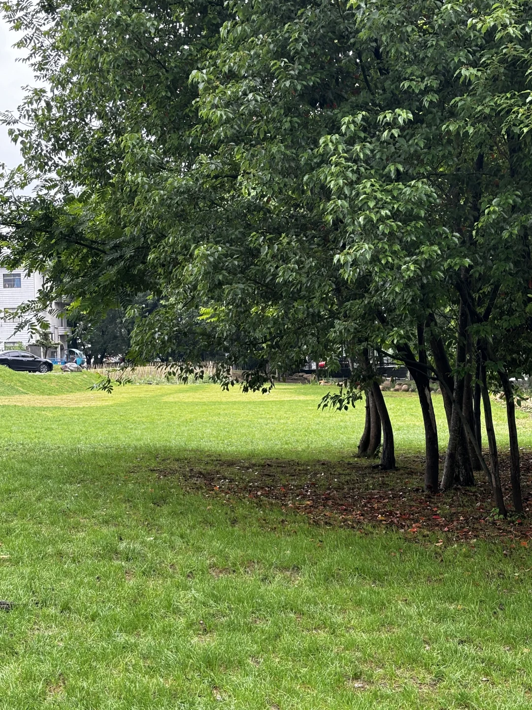 之我最爱的西溪南