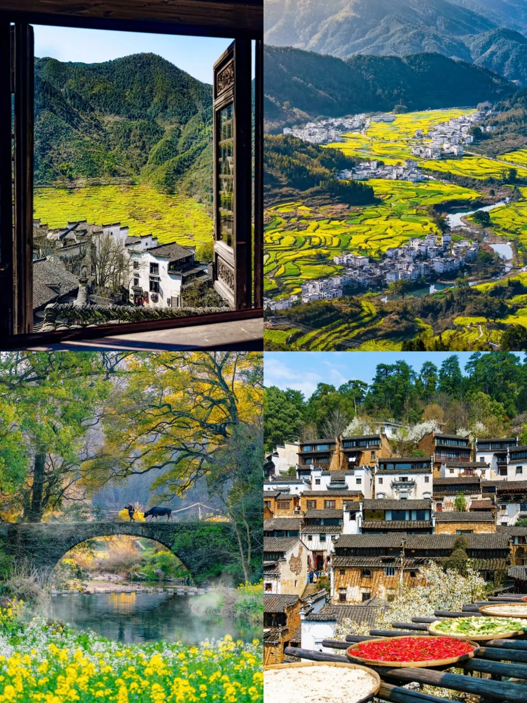 给小米做の景德镇+婺源团建旅游，被夸了❗