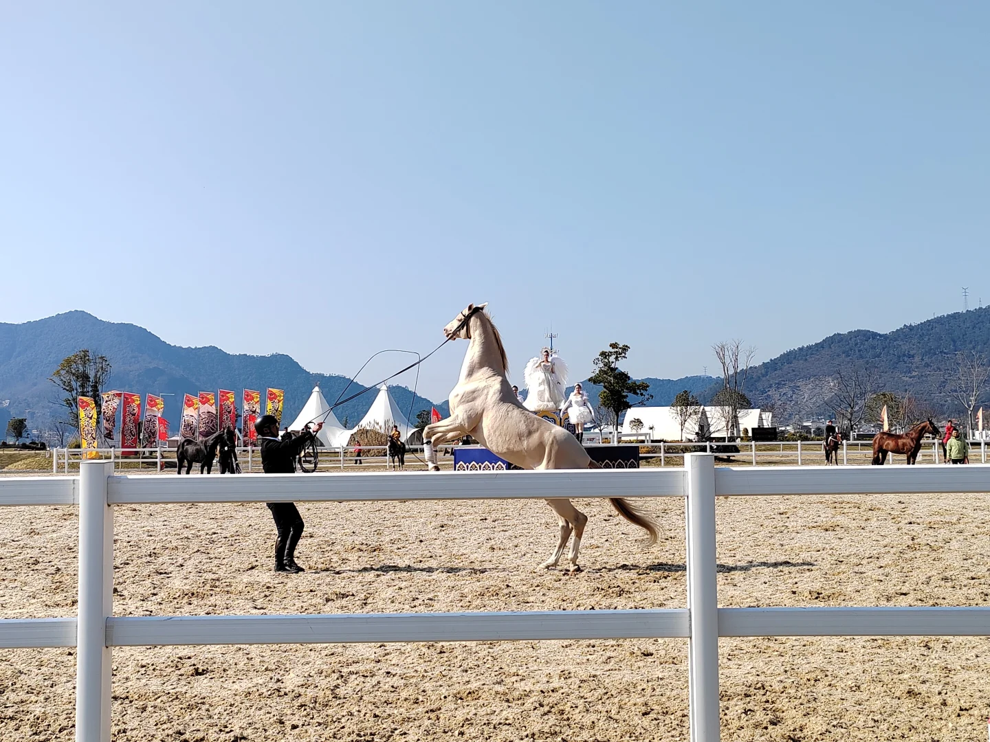 潇洒千年，最美桐庐