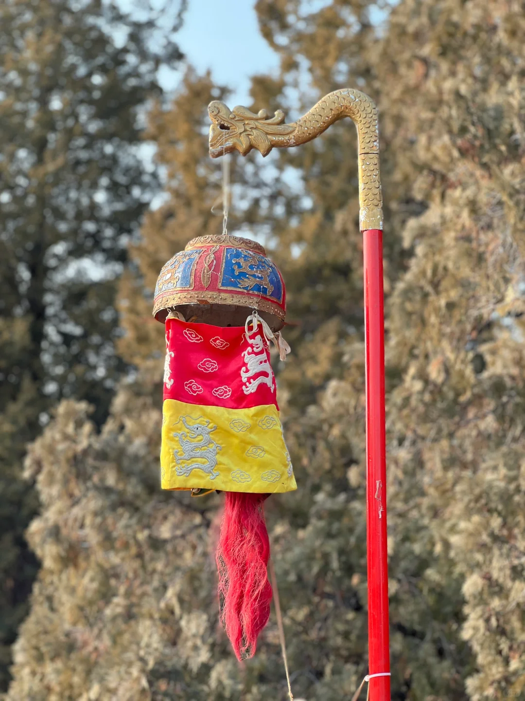 大年初二,天坛拍到了人生照片!