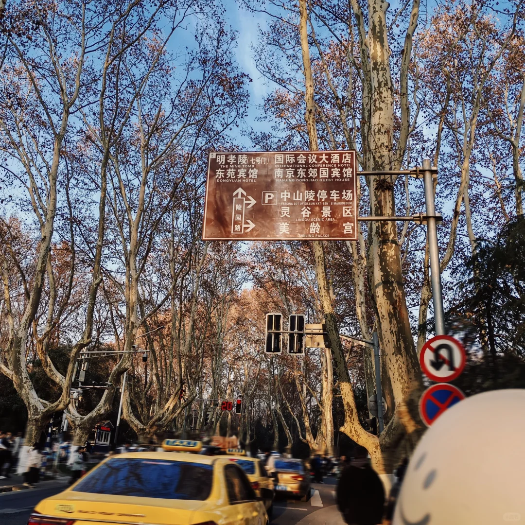 我想和你在南京牵手