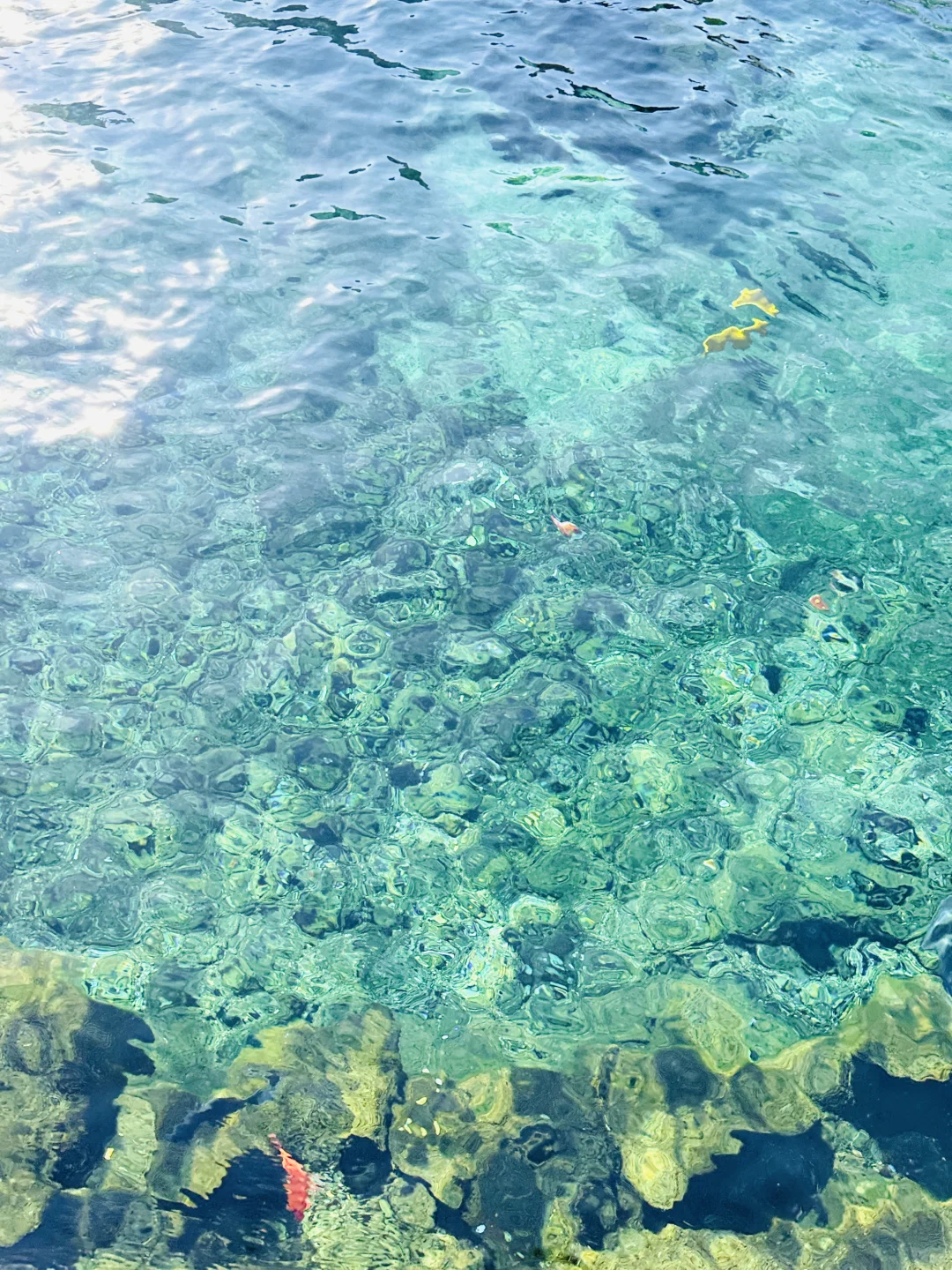 ⛲️ 寒假快乐游｜济南的冬天