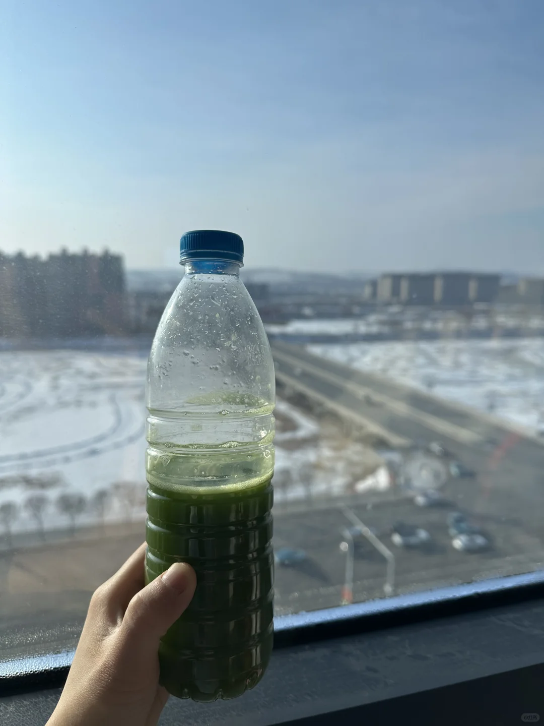 来东北旅游才知道这杯抹茶青汁的含金量