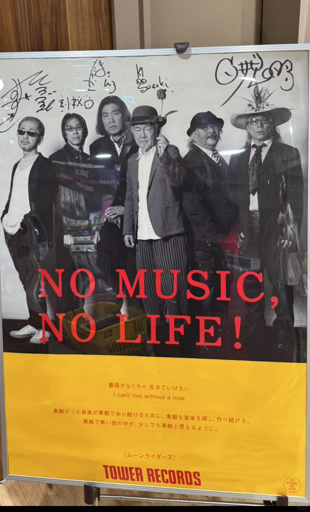 我们摇滚狗出来旅游是这样的