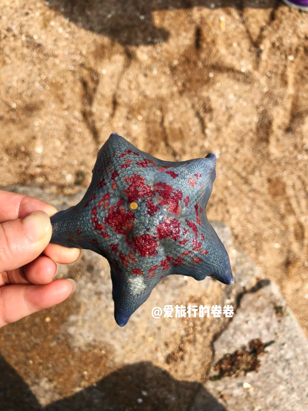 暑假可以这样玩‼️路费1500+💰游7省15城