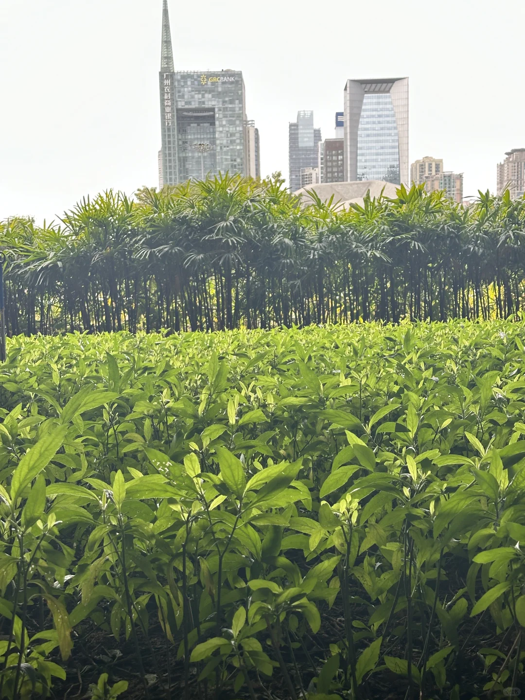 带着新鲜出炉的旅行攻略手帐粗出玩儿啦！