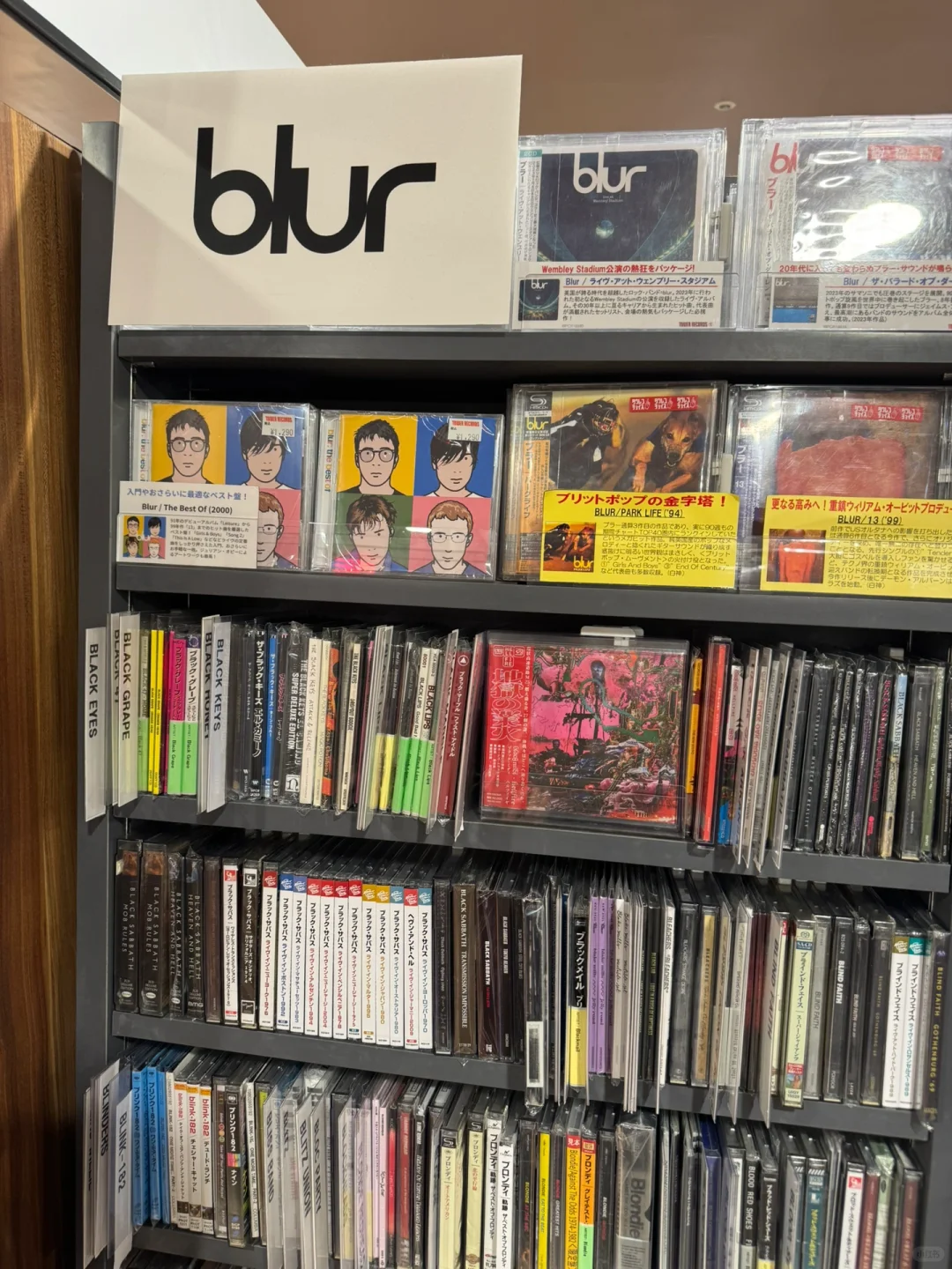 我们摇滚狗出来旅游是这样的