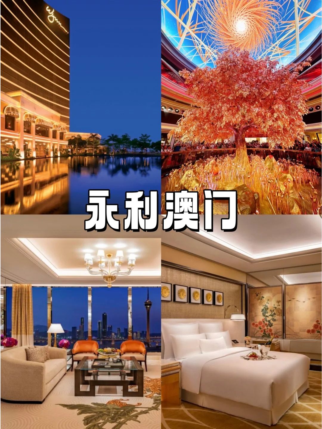 原来二月去澳门旅游订酒店这么便宜!