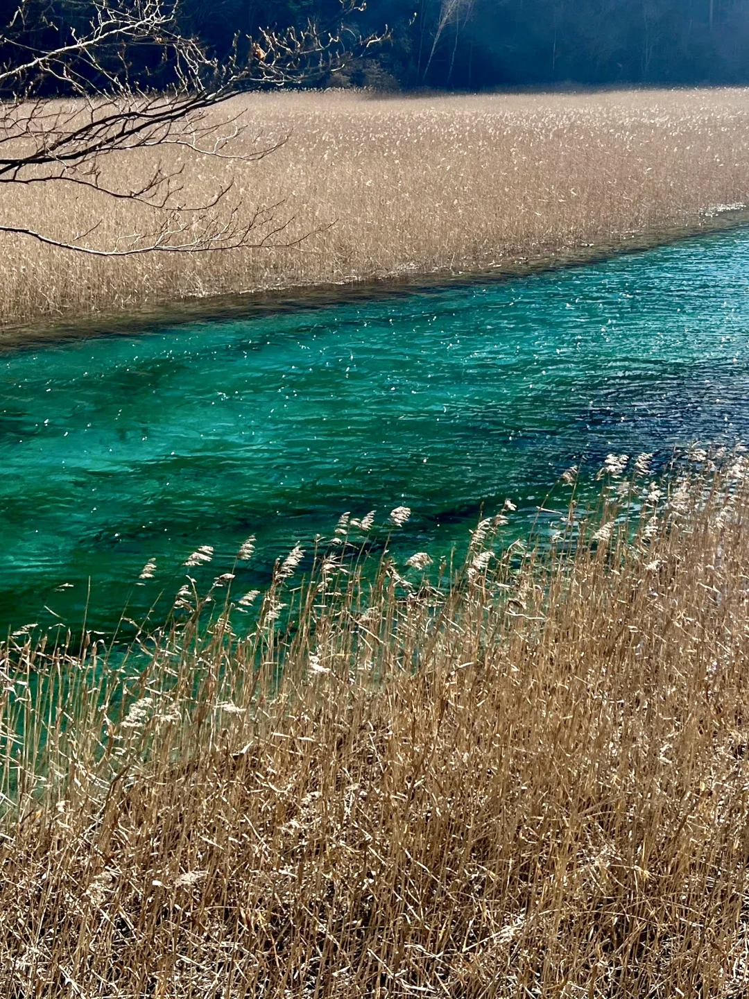 实话难听。。。但2-4月来川西的都是大冤种🥲。。
