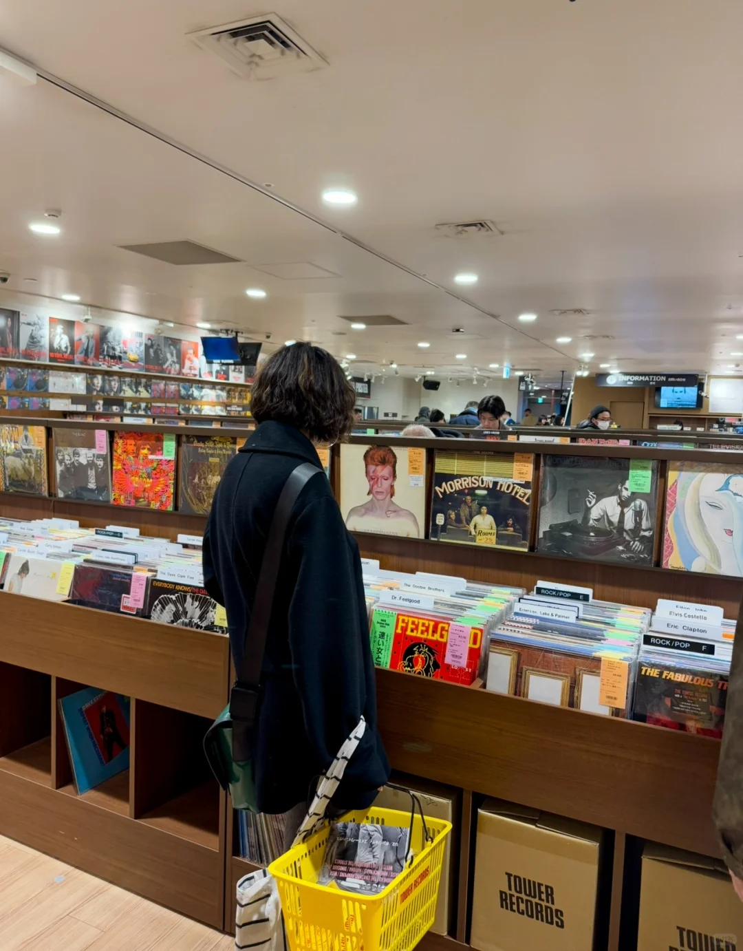 我们摇滚狗出来旅游是这样的