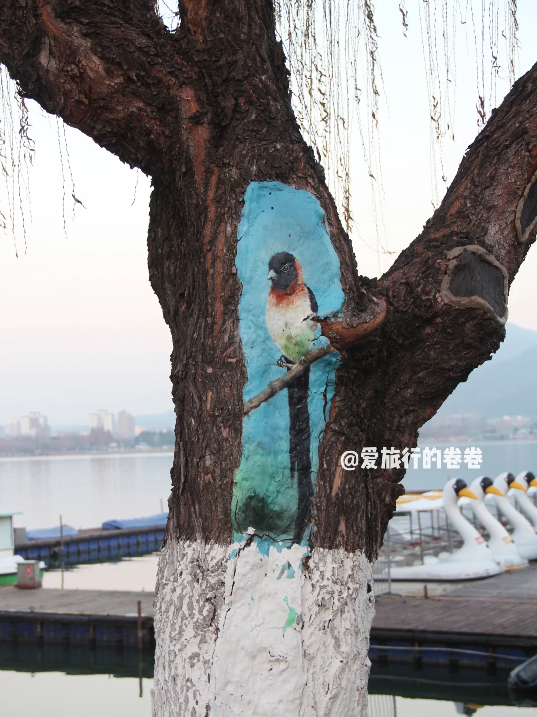 暑假可以这样玩‼️路费1500+💰游7省15城