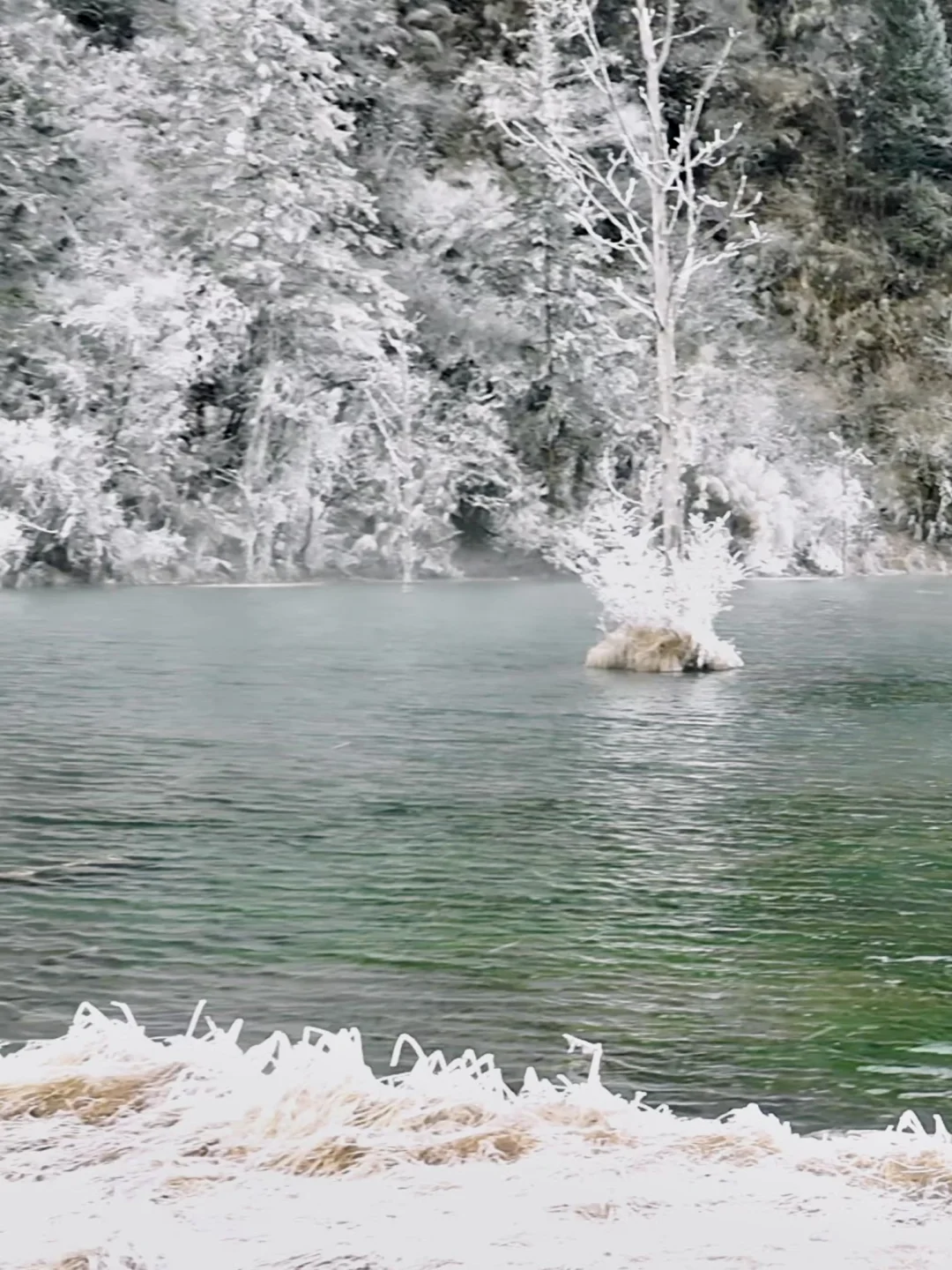 实话难听。。。但2-4月来川西的都是大冤种🥲。。