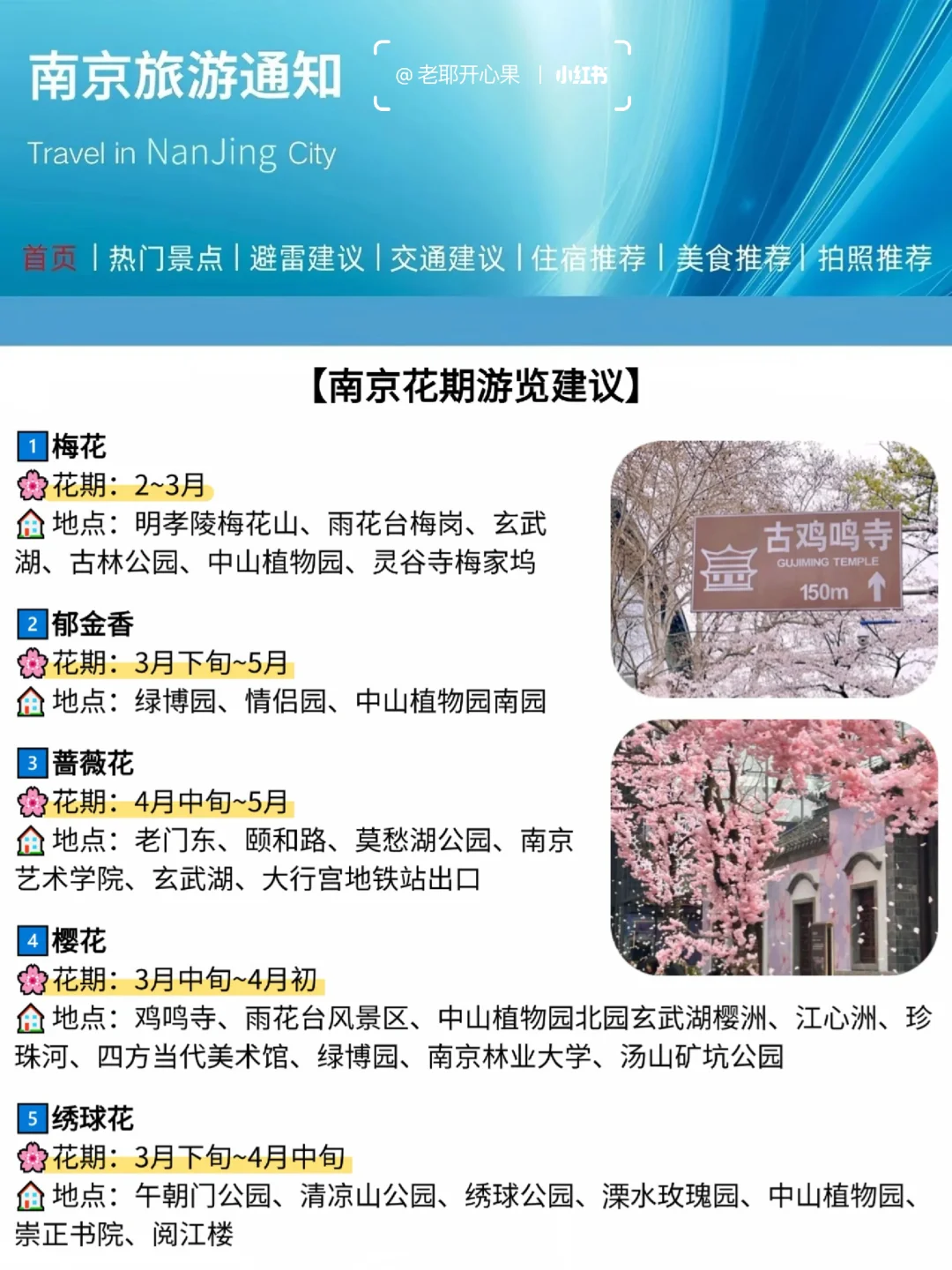 春天南京旅游新通知❗还好去之前看到了😭