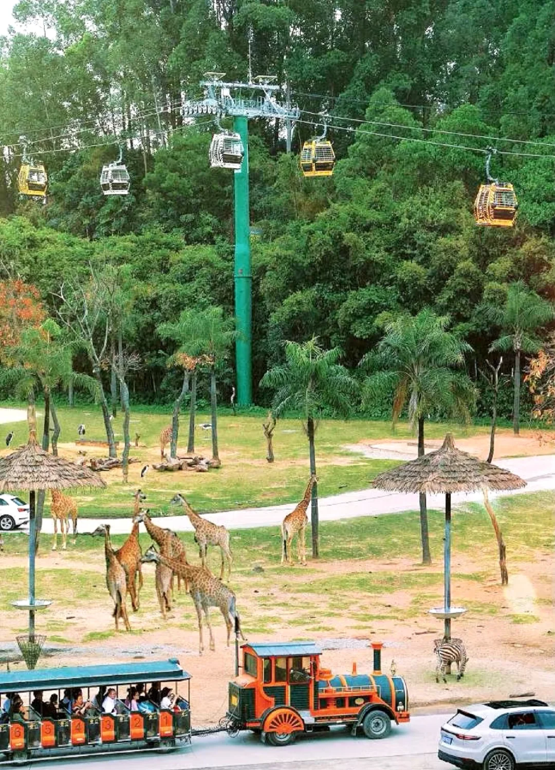 广东三城5天4夜旅游攻略|玩到爽再回家🏡