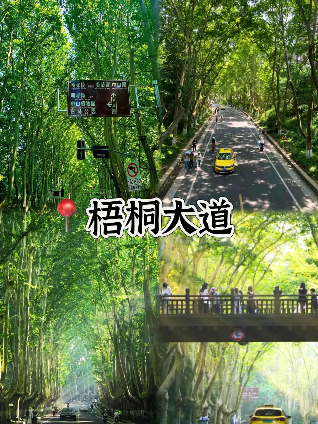 男大三天两晚南京旅行攻略来啦