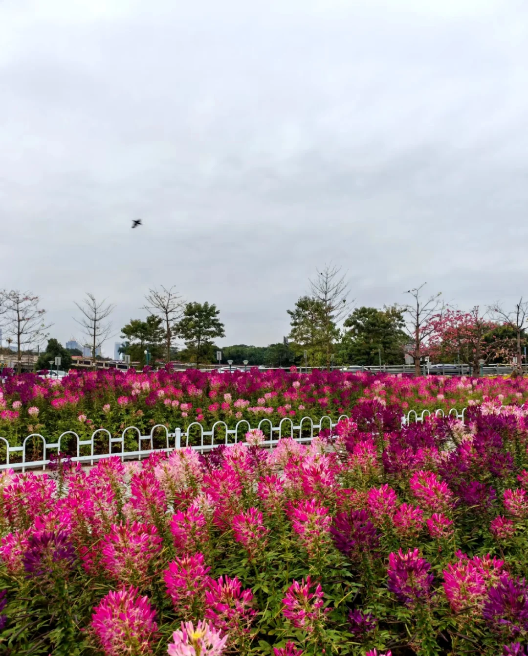 广东三城5天4夜旅游攻略|玩到爽再回家🏡