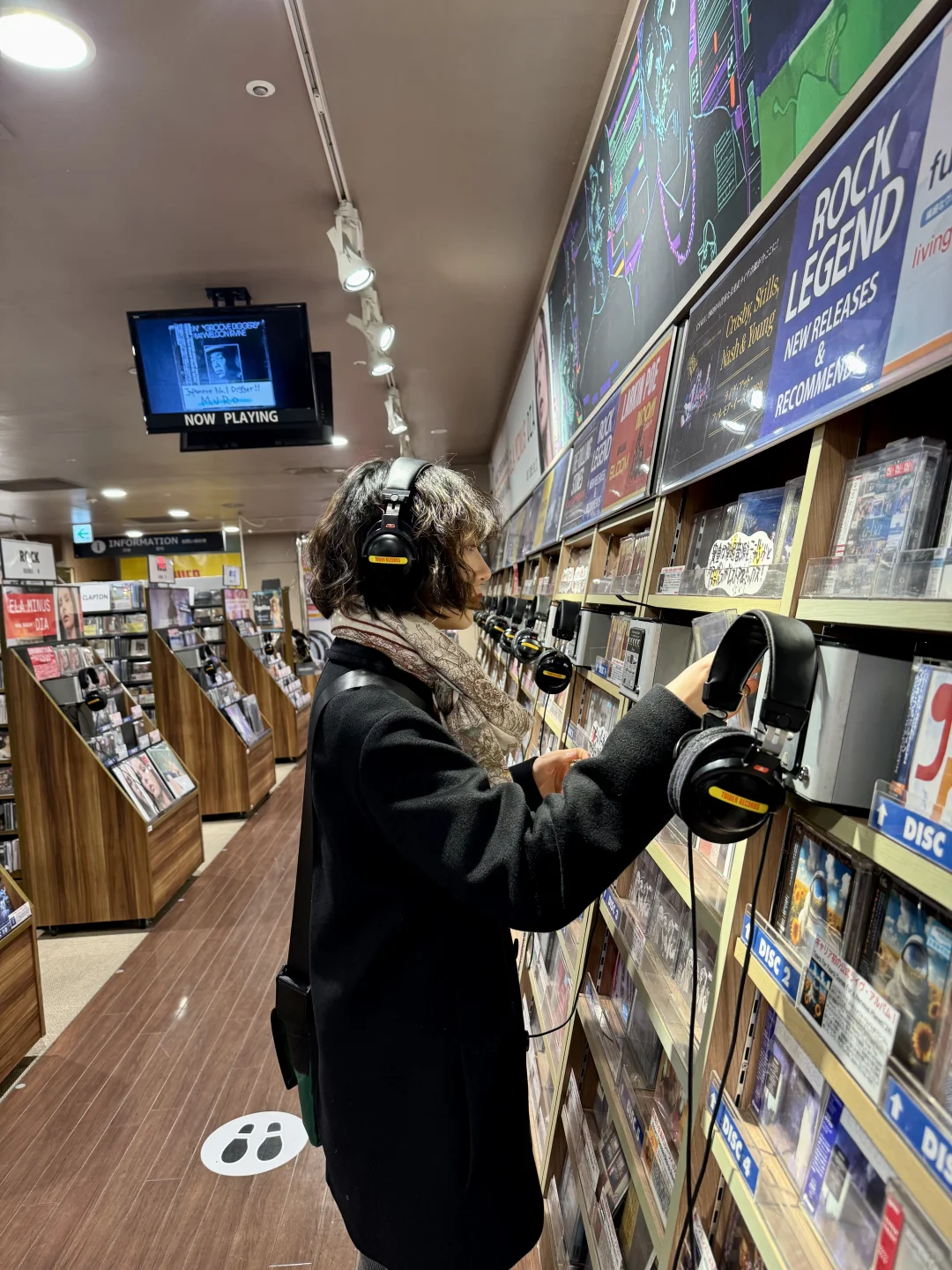 我们摇滚狗出来旅游是这样的