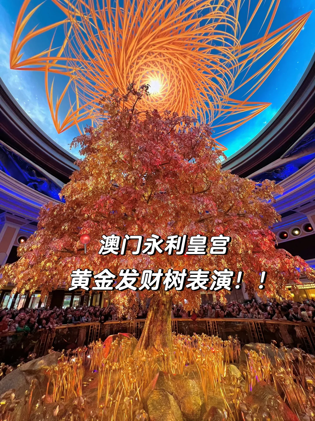 04男大📍澳门一日游City超详细旅游攻略‼️