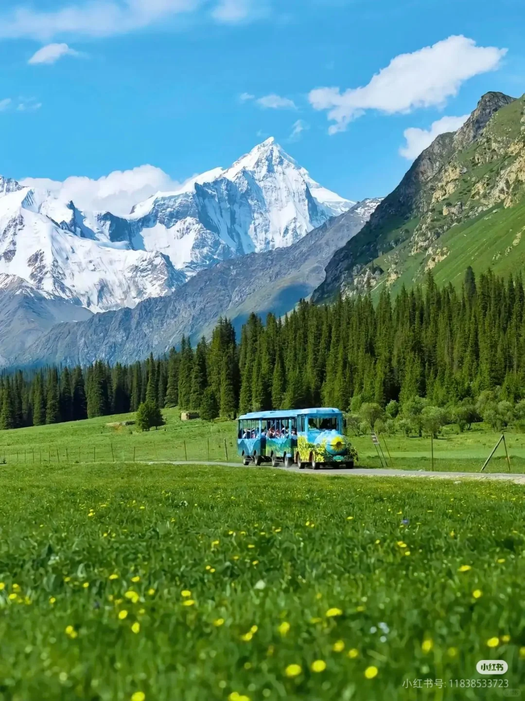 新疆超绝旅游攻略✨ 一次玩遍南北疆