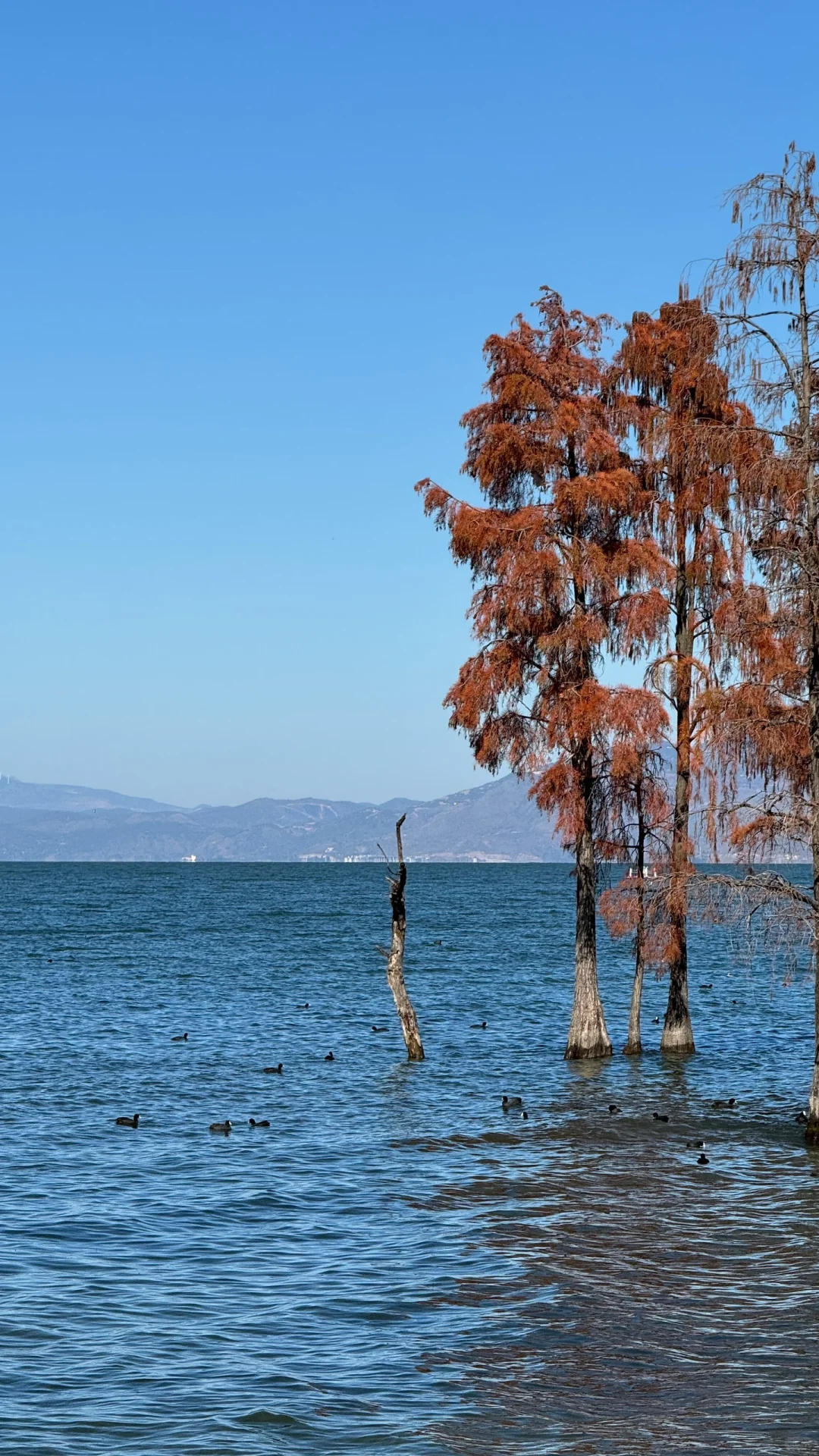 云南旅行攻略完善版