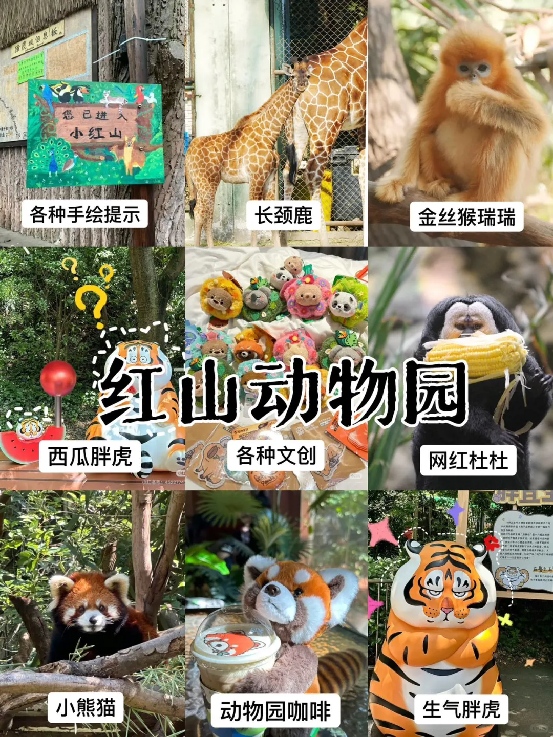 好恐怖的J人😱被朋友的南京攻略震惊到