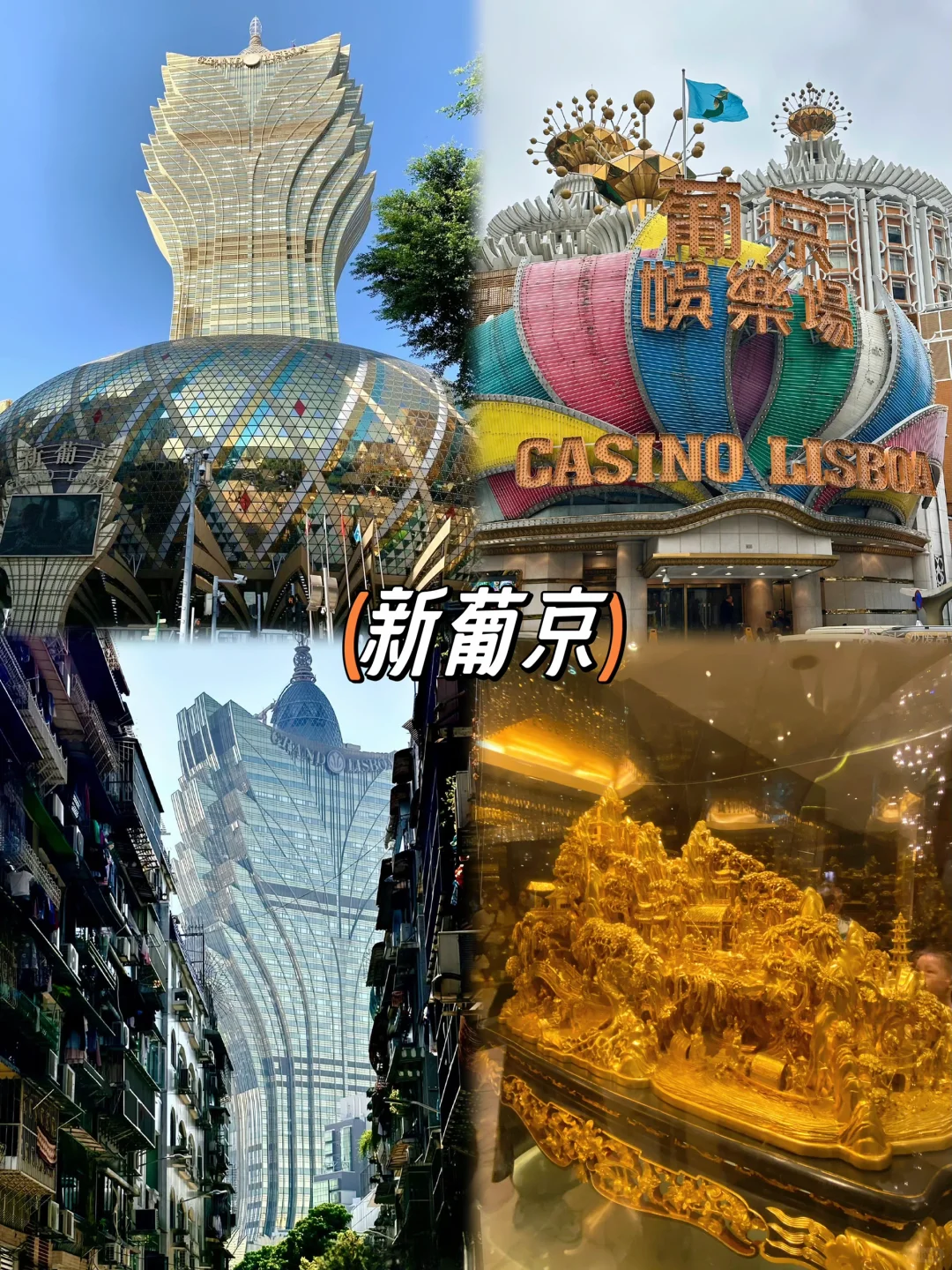 04男大📍澳门一日游City超详细旅游攻略‼️