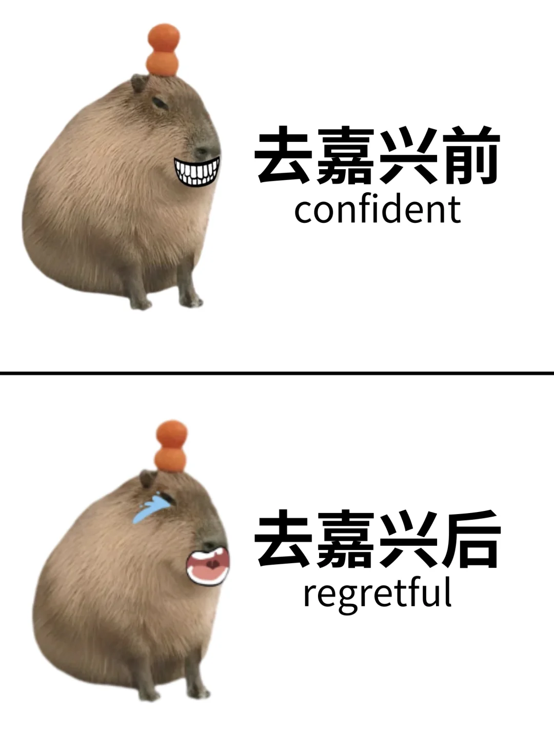 愿每个去嘉兴旅游的人都能刷到这篇🙏