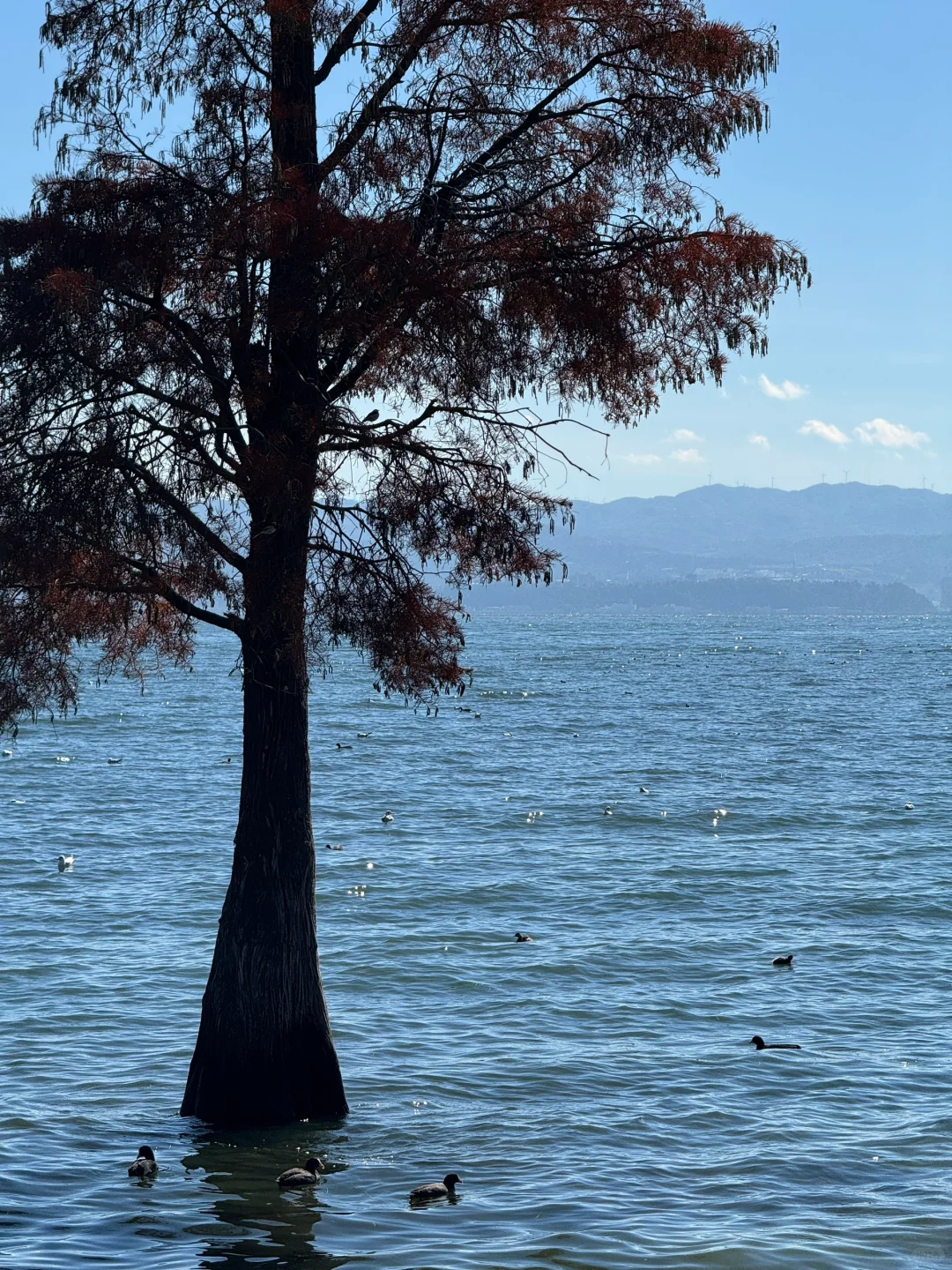 云南旅行攻略完善版