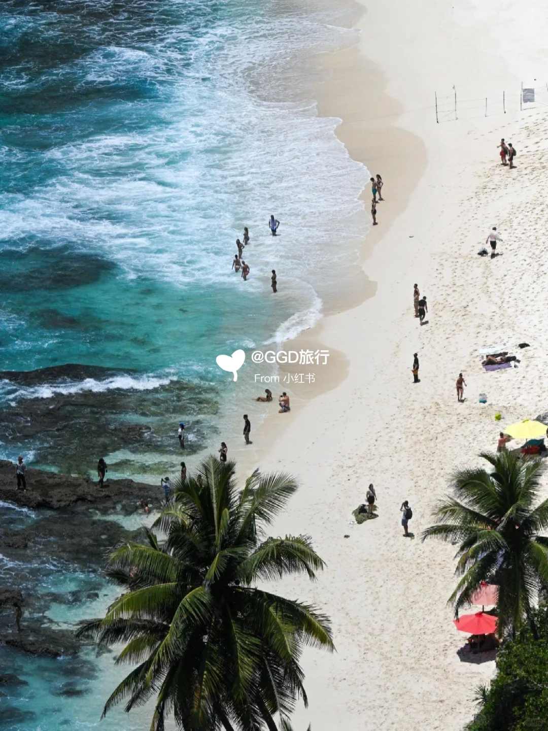 女孩子👭去巴厘岛旅游攻略｜放心去🆚不要去