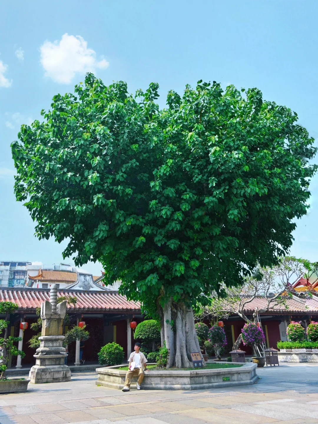 人生建议：一定要来潮汕过一次年，太震撼😭