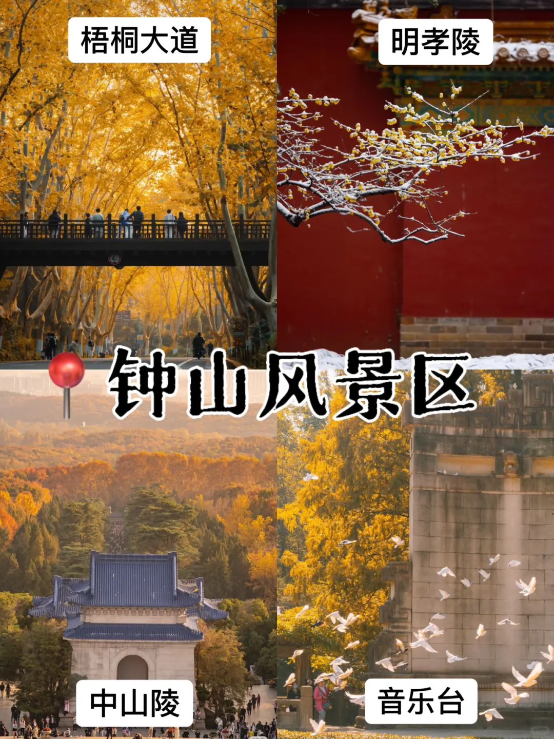 好恐怖的J人😱被朋友的南京攻略震惊到