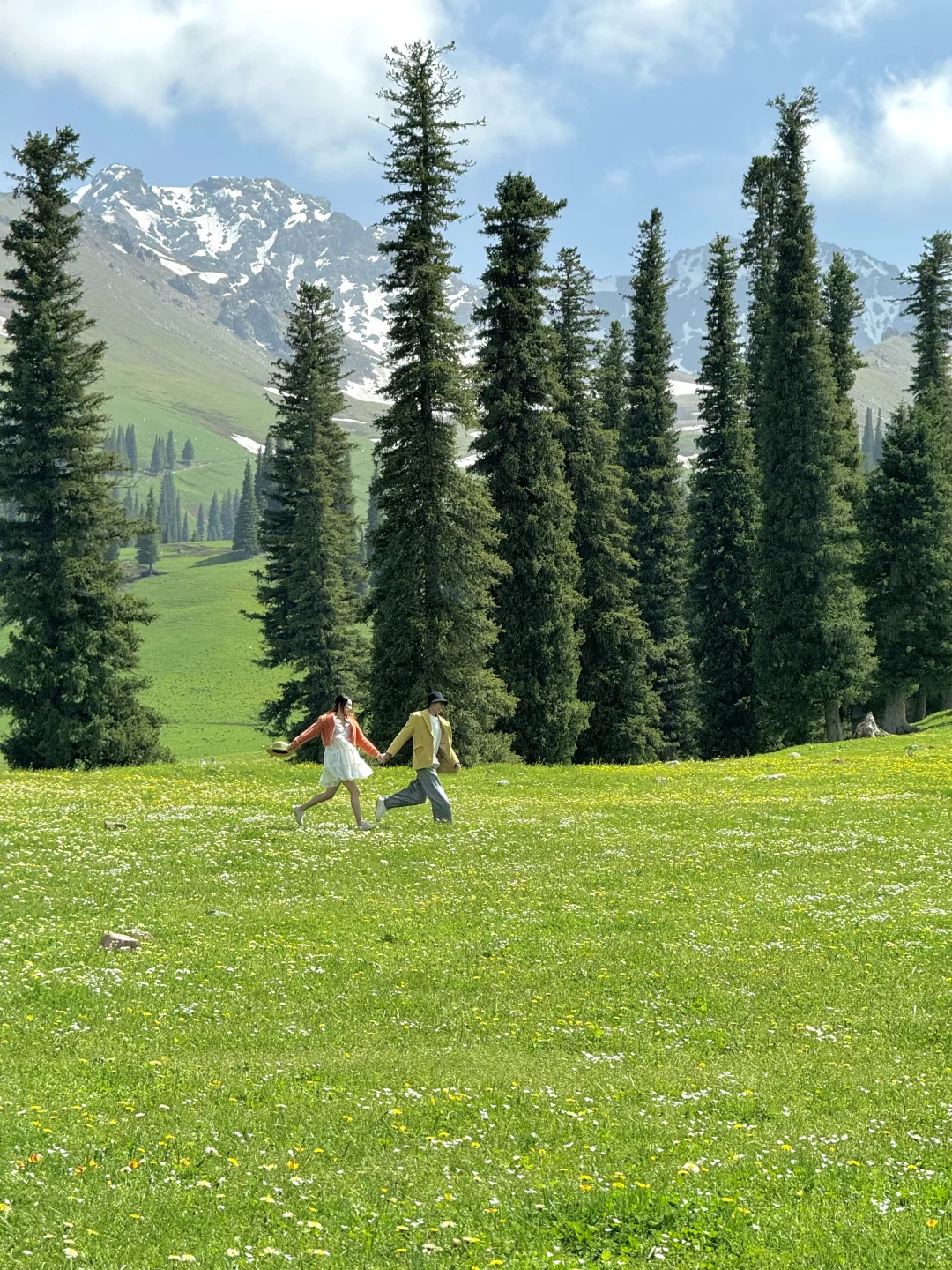 在新疆拍到了我的人生live！🌲