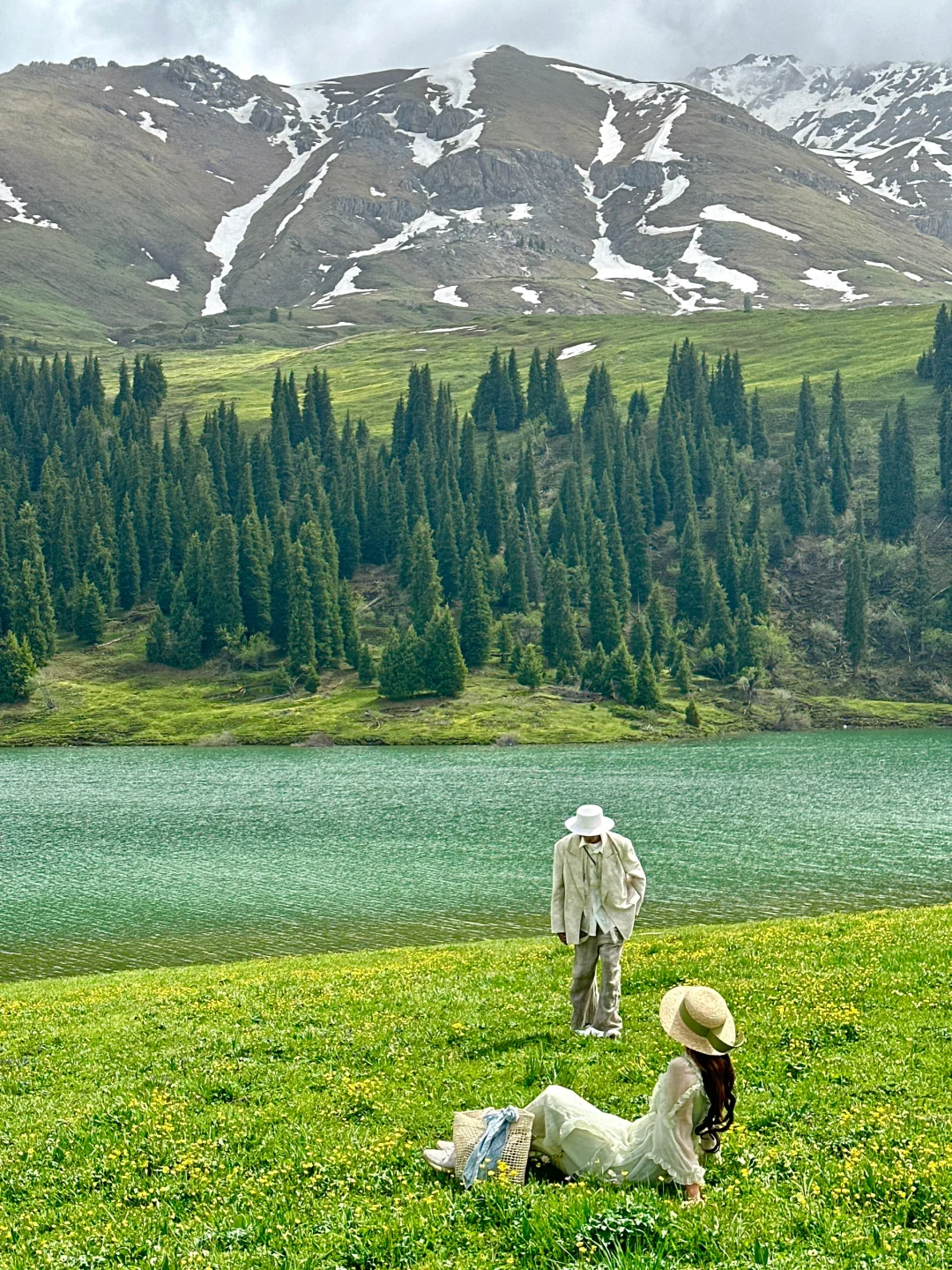 在新疆拍到了我的人生live！🌲