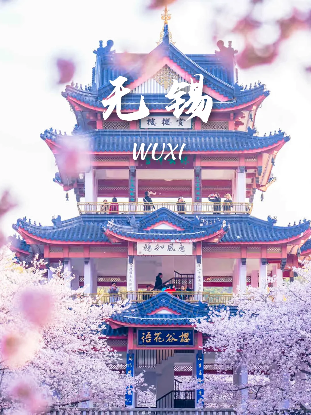 当我问DeepSeek春天可以去哪里赏花🌸