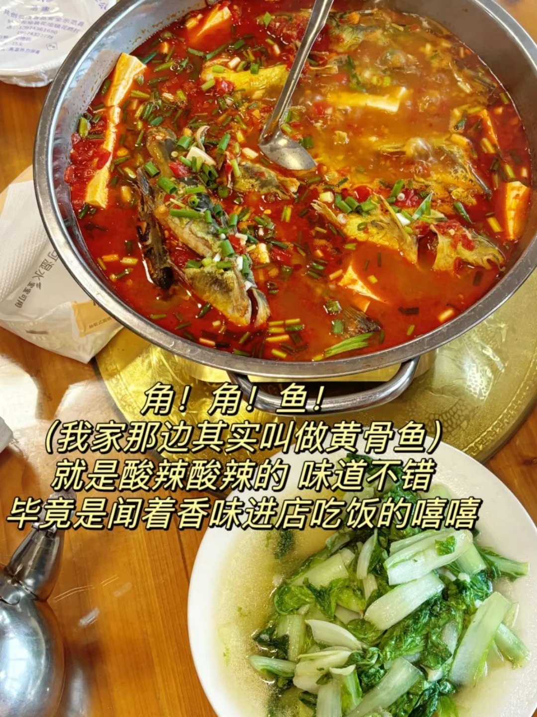 茶峒丨因为一本书，去了一座城