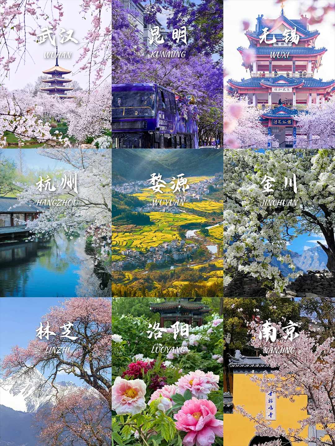 当我问DeepSeek春天可以去哪里赏花🌸