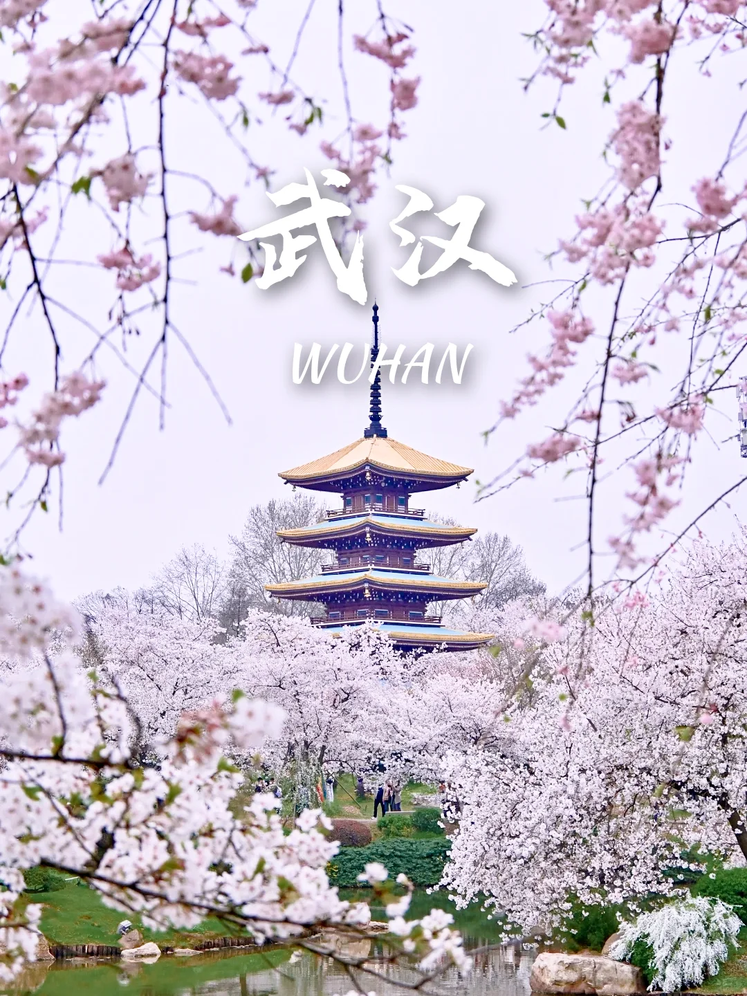 当我问DeepSeek春天可以去哪里赏花🌸