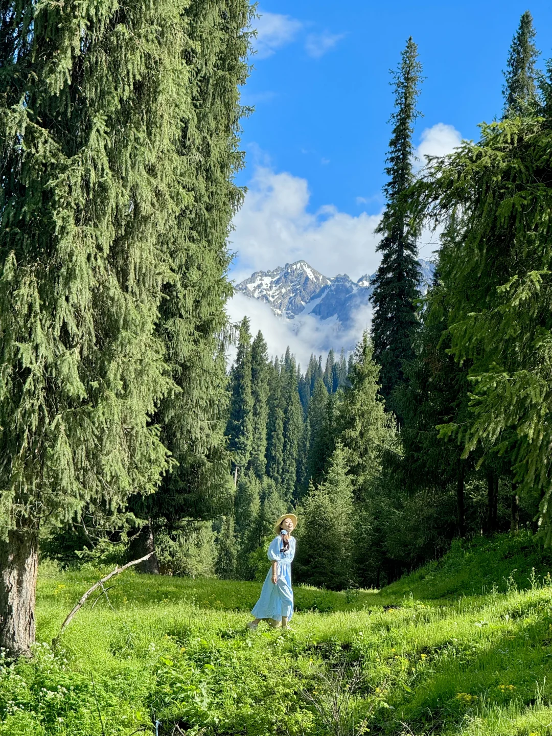 在新疆拍到了我的人生live！🌲