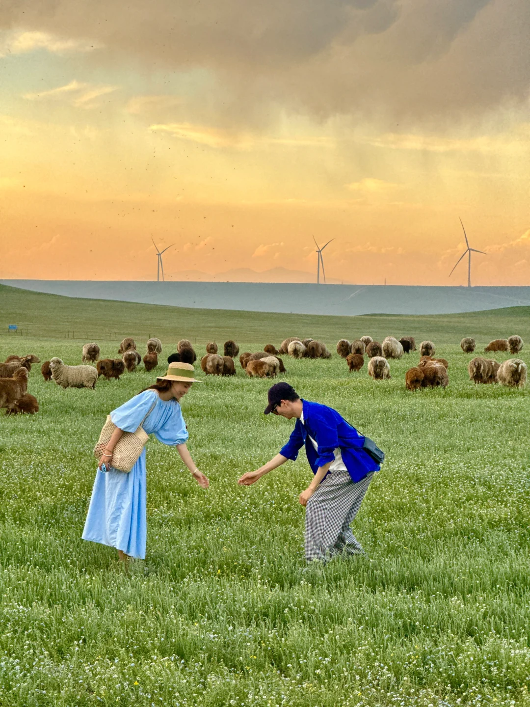 在新疆拍到了我的人生live！🌲
