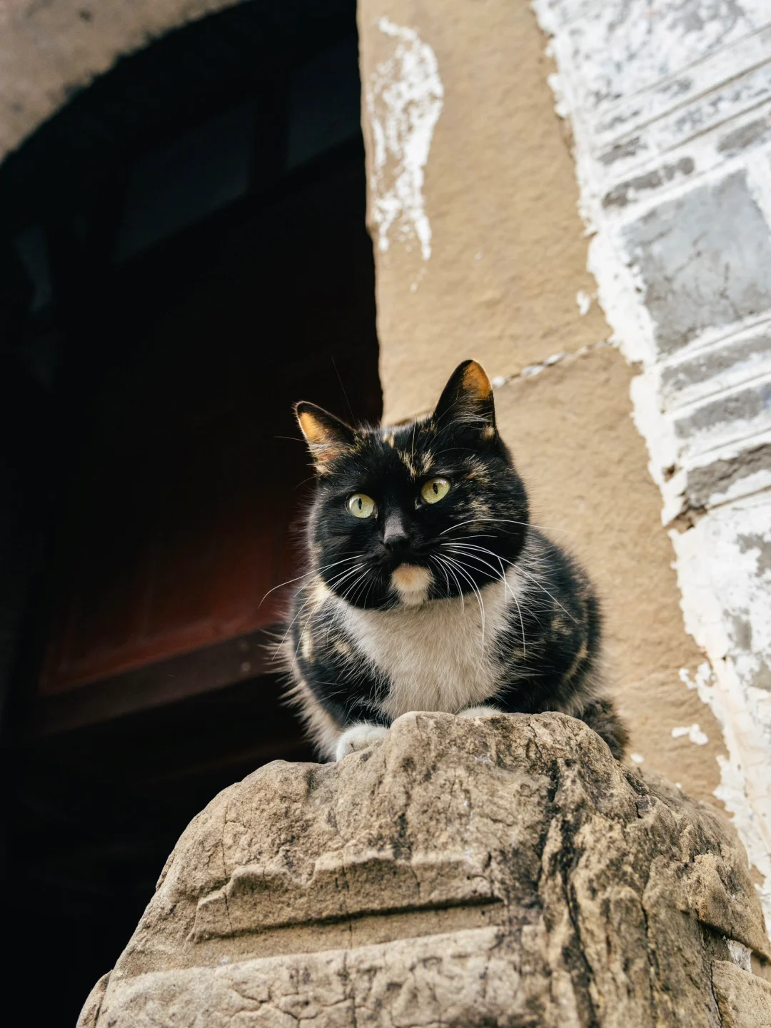 成都1小时直达！🏔雪山下的千年古镇有多绝！