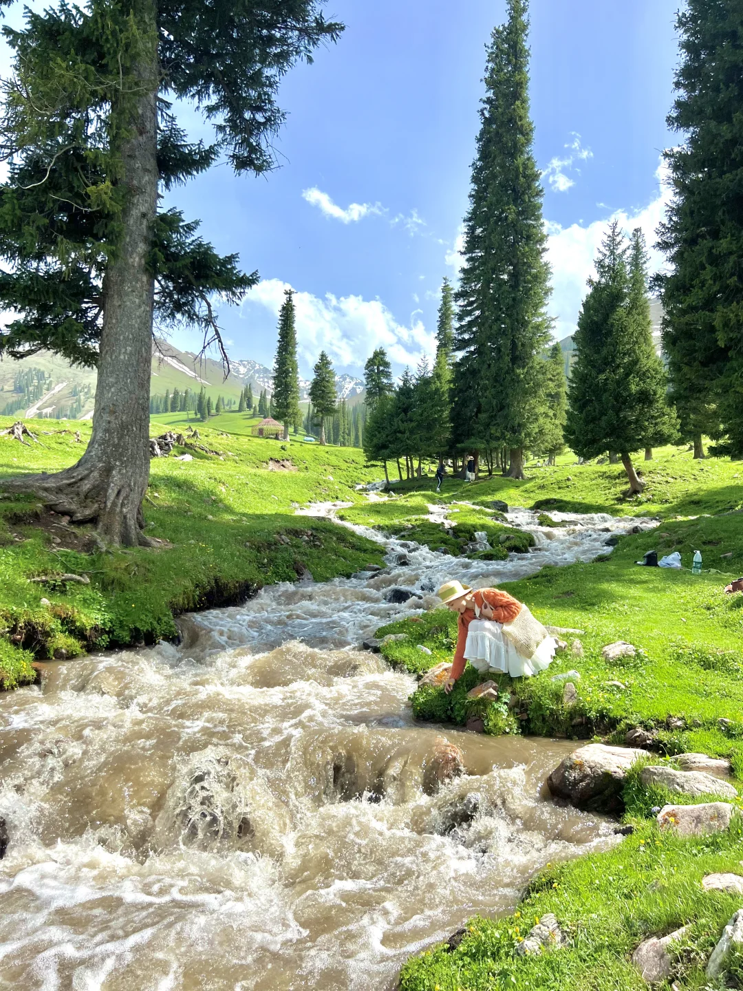 在新疆拍到了我的人生live！🌲