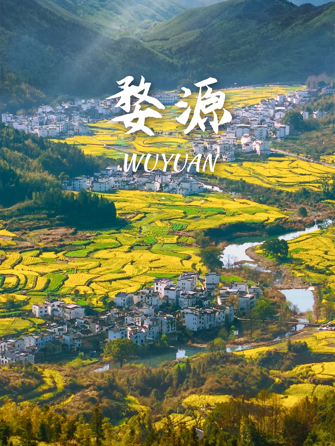 当我问DeepSeek春天可以去哪里赏花🌸