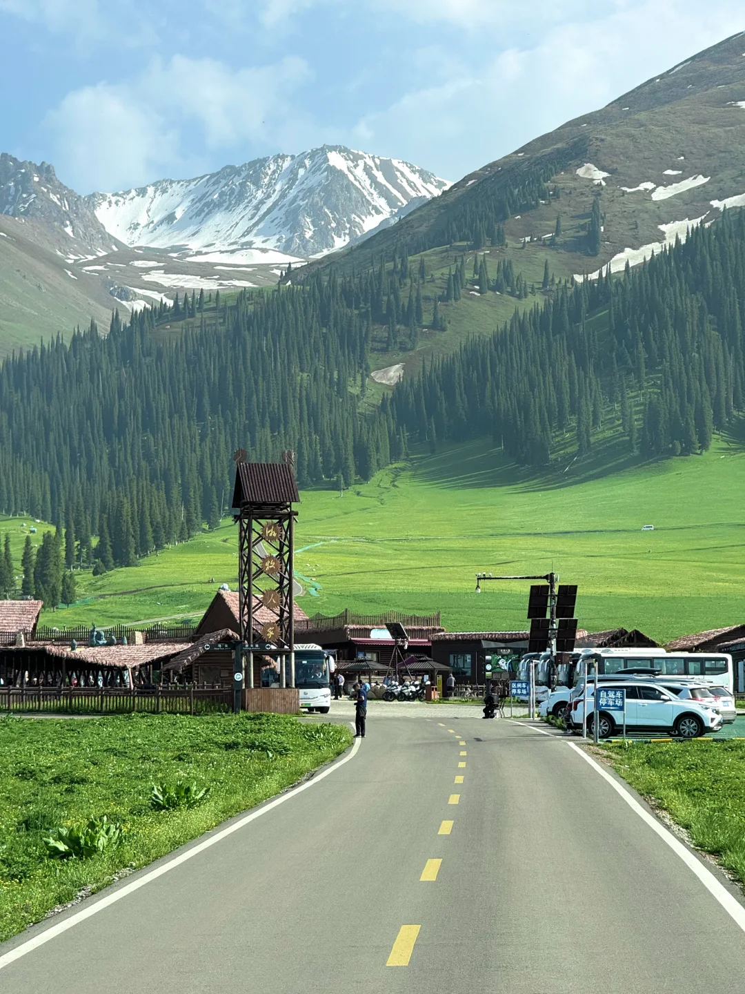 在新疆拍到了我的人生live！🌲