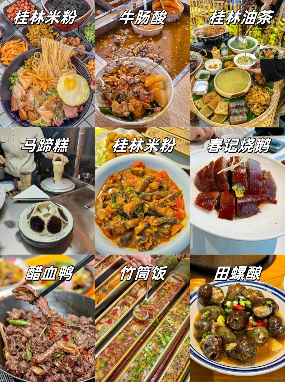 桂林出行春节篇 主打一个听劝