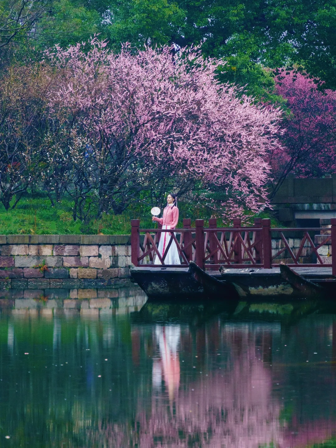 杭州梅花进度60%‼️推荐❾个人少小众赏花地