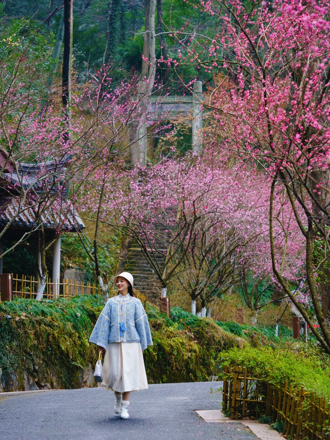 杭州梅花进度60%‼️推荐❾个人少小众赏花地